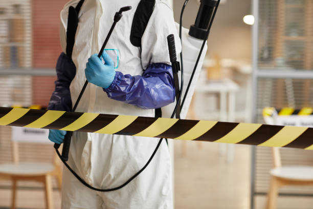 Professional Sewage Cleanup technician working in Lake Helen, FL