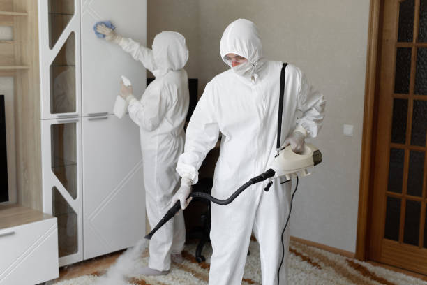 Trusted Sewage Cleanup service in Lake Helen, FL - Four Month Blood Cleanse